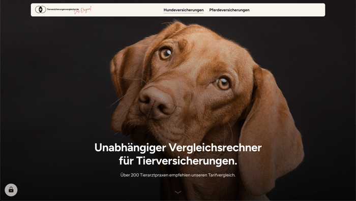 Startseite eines Versicherungsportals